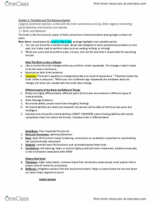 PSYCH 101 Lecture Notes - Lecture 18: Midbrain, Hypothalamus, Cerebellum thumbnail