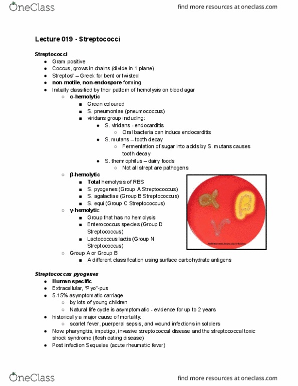 Microbiology and Immunology 2500A/B Lecture Notes - Lecture 19: Streptococcal Pharyngitis, Rheumatic Fever, Rapid Strep Test thumbnail
