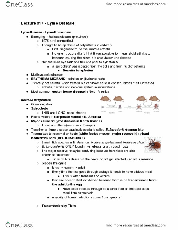 Microbiology and Immunology 2500A/B Lecture Notes - Lecture 17: Ixodes Scapularis, Lyme Disease, Rheumatoid Arthritis thumbnail