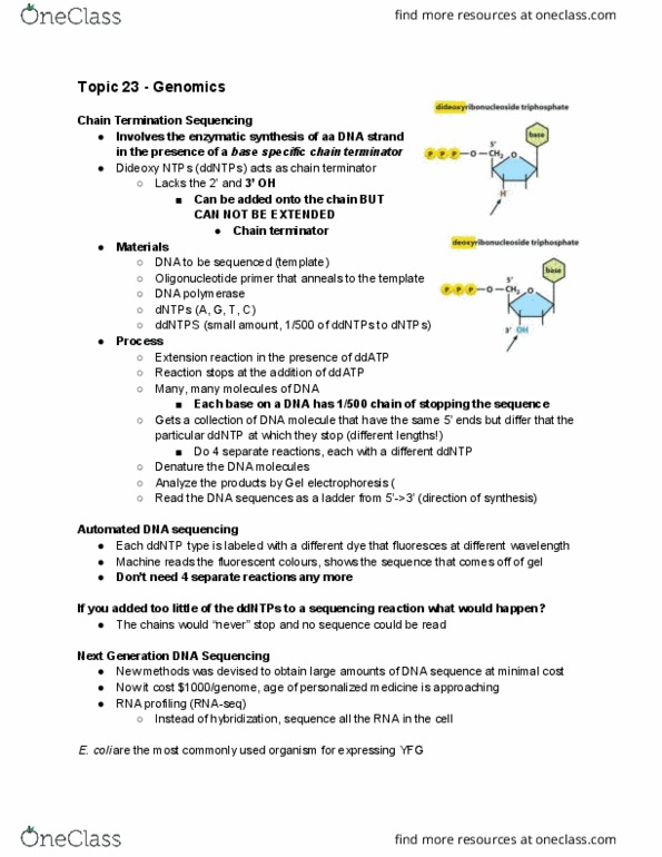 Biochemistry 2280A Lecture Notes - Lecture 23: Dna Profiling, Dna Ligase, Microsatellite thumbnail