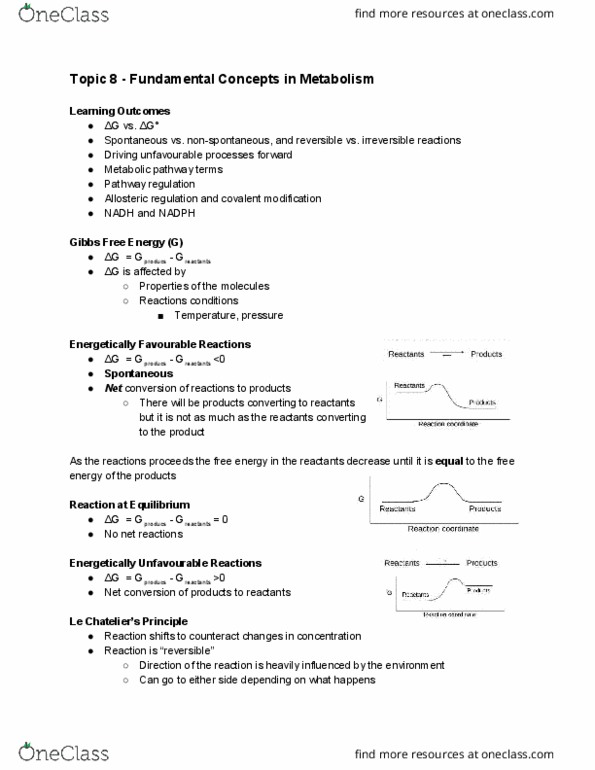 Biochemistry 2280A Lecture Notes - Lecture 8: Adenosine Triphosphate, Glutamine, Metabolic Pathway thumbnail