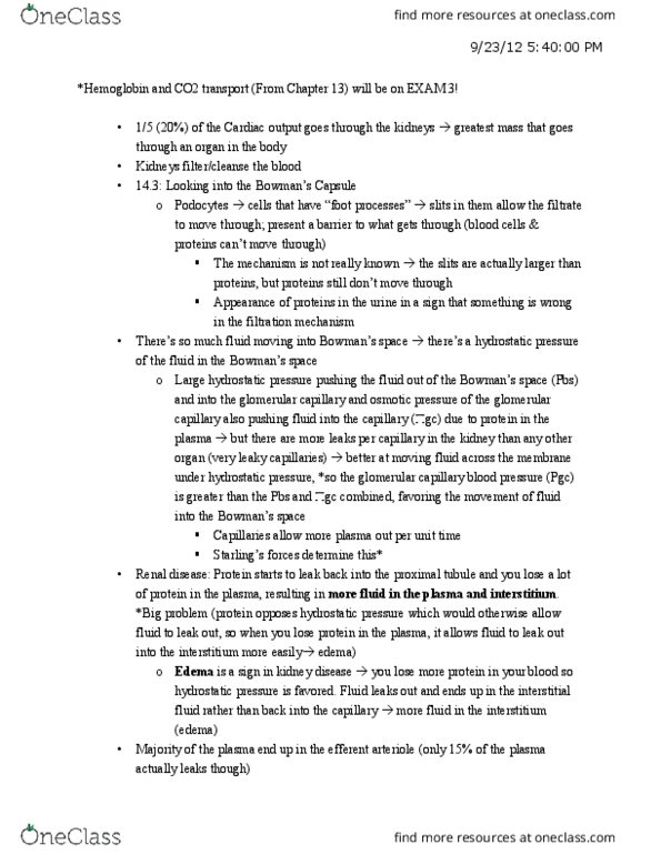 CAS BI 315 Lecture Notes - Lecture 22: Afferent Arterioles, Efferent Arteriole, Proximal Tubule thumbnail