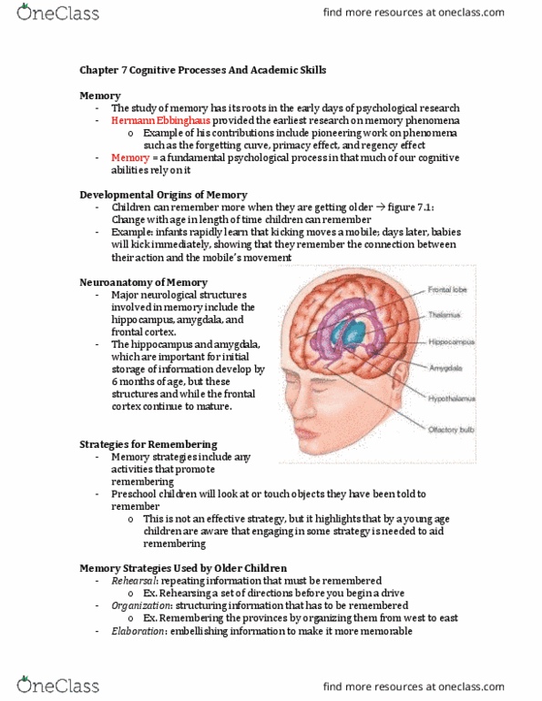 PSY210H5 Chapter Notes - Chapter 7: Autobiographical Memory, Hermann Ebbinghaus, Frontal Lobe thumbnail