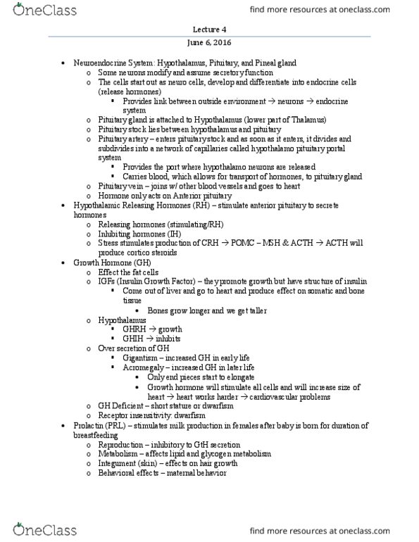 BIOLOGY 225 Lecture Notes - Lecture 4: Pituitary Gland, Anterior Pituitary, Luteinizing Hormone thumbnail