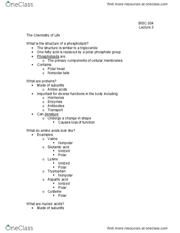 BI SC 004 Lecture Notes - Lecture 3: Valine, Phospholipid, Triglyceride thumbnail