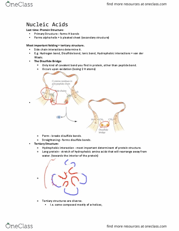 BIOL 112 Lecture Notes - Lecture 3: Alpha Helix, Ionic Bonding, Covalent Bond thumbnail