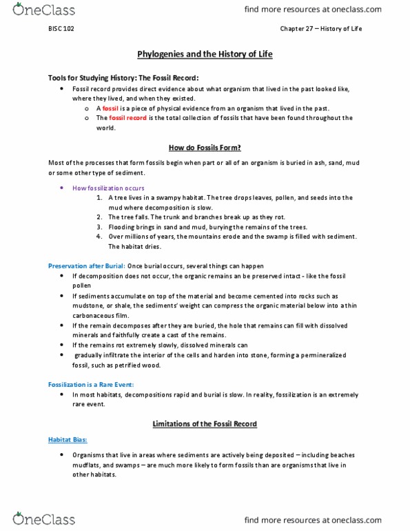 BISC 102 Chapter Notes - Chapter 27: Phanerozoic, Radiometric Dating, Petrified Wood thumbnail