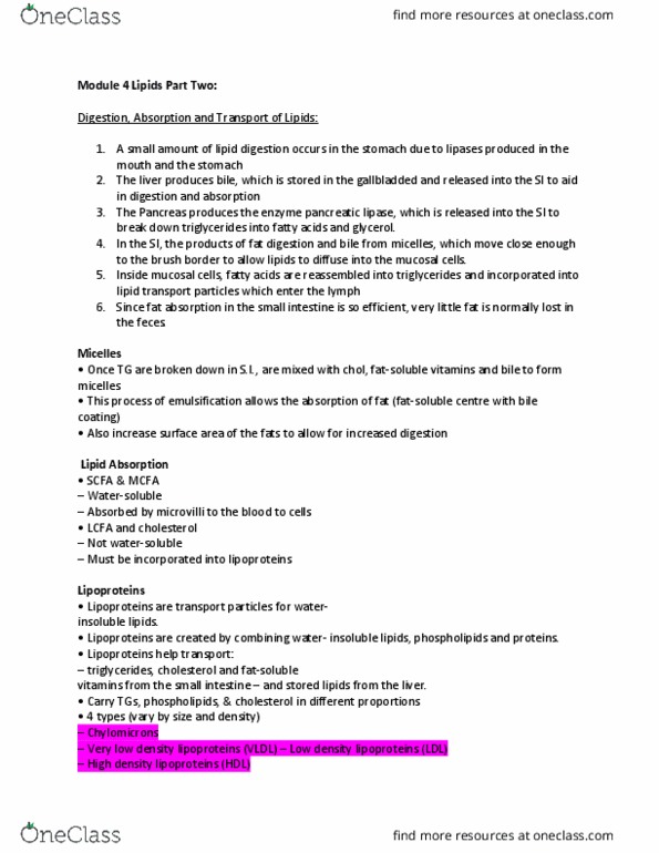 FNN 100 Lecture Notes - Lecture 6: Adipocyte, Cortisol, Oxaloacetic Acid thumbnail