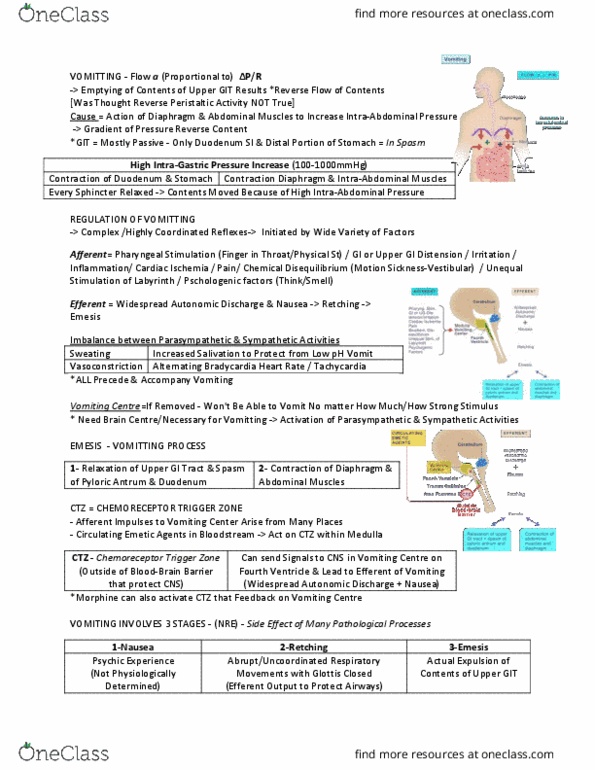 PHGY 210 Lecture Notes - Lecture 13: Rectum, Peristalsis, Disorganized Schizophrenia thumbnail