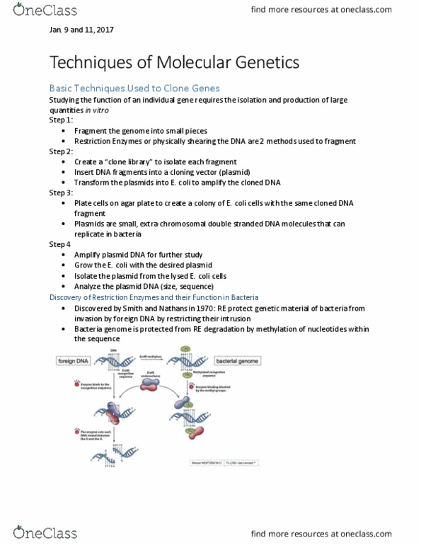MCB 2050 Lecture Notes - Lecture 1: Ribonuclease H, Hybridization Probe, Transfer Dna thumbnail