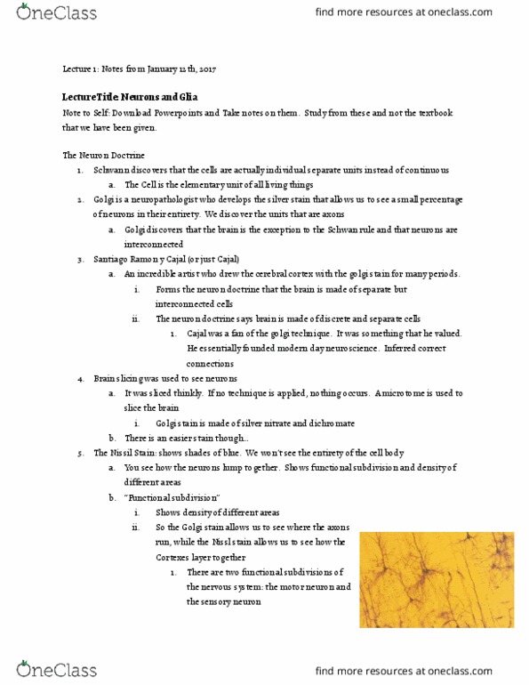 NSC-2201 Lecture Notes - Lecture 1: Conformational Change, Neurotransmitter, Axon Hillock thumbnail