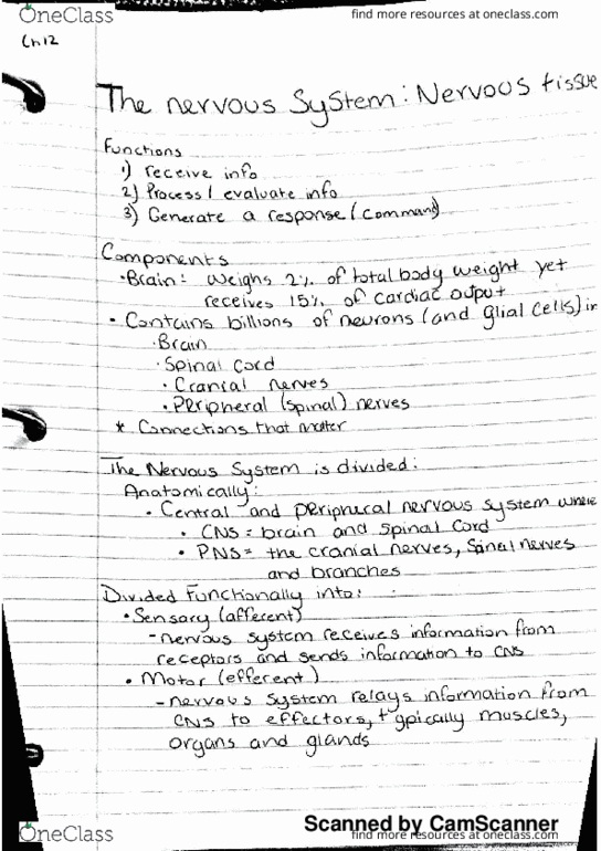 BIO 211 Lecture 7: nervous tissue thumbnail