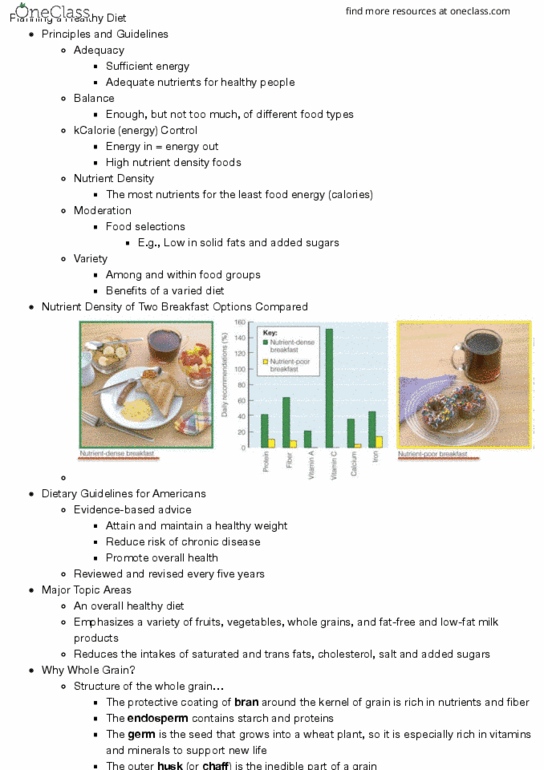 HUN-1201 Lecture Notes - Lecture 2: Oatmeal, Sorting, Almond Milk thumbnail