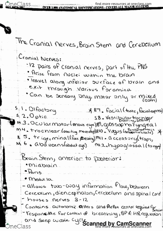 BIO 211 Lecture 9: cranial nerves, brain stem and cerebellum thumbnail