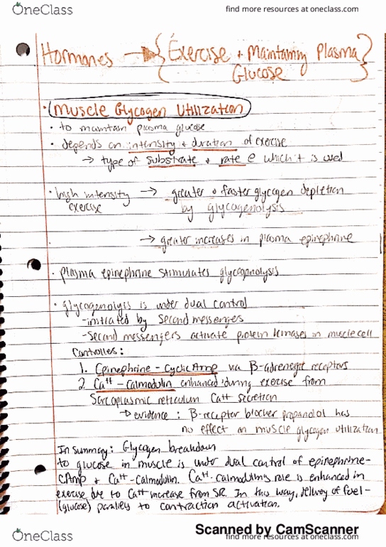 KINE 408 Lecture 11: Hormones in Exercise thumbnail