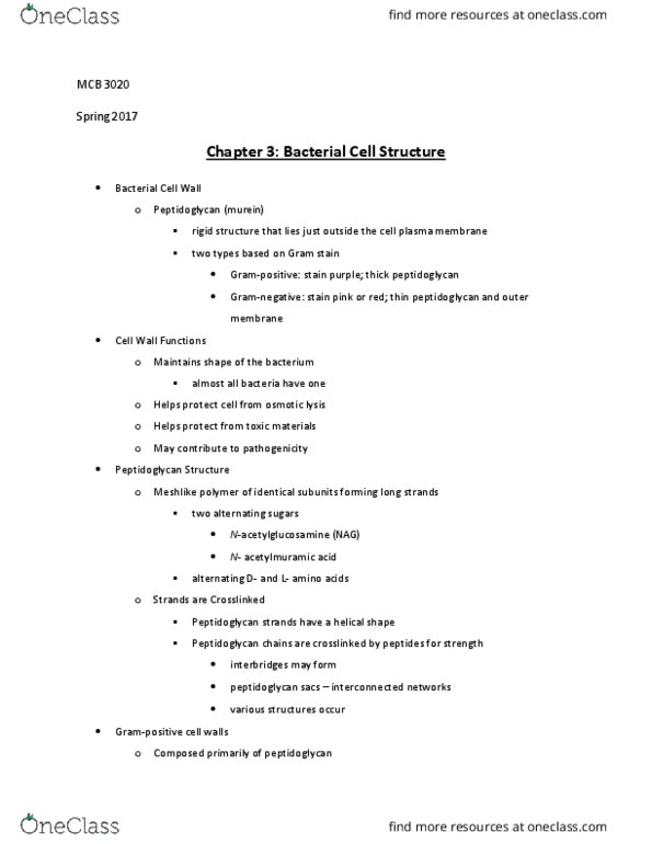 MCB 3020 Lecture Notes - Lecture 4: Lipopolysaccharide, Lipoprotein, Teichoic Acid thumbnail