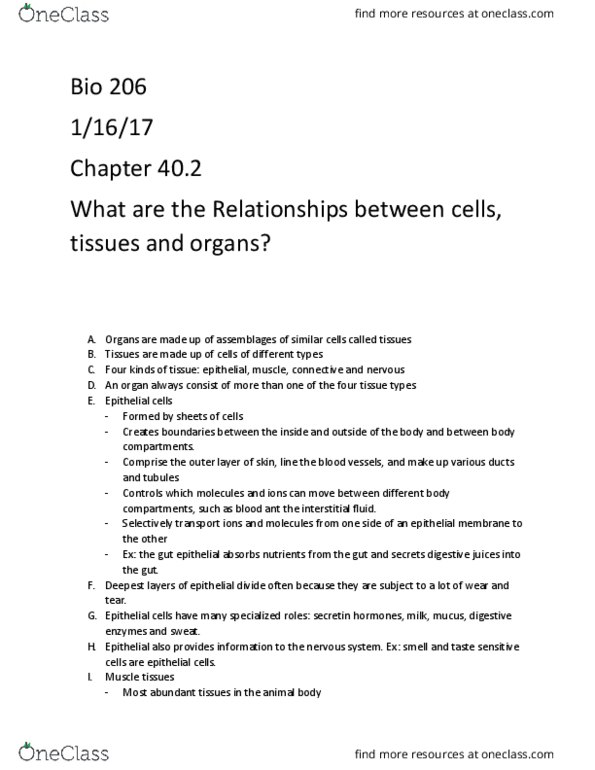 BIOL 206 Chapter Notes - Chapter 41: Elastin, Blood Plasma, Cartilage thumbnail