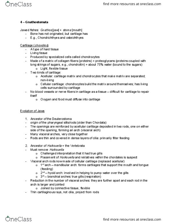 EEB267H1 Lecture Notes - Lecture 4: Pharyngeal Arch, Haikouella, Gnathostomata thumbnail