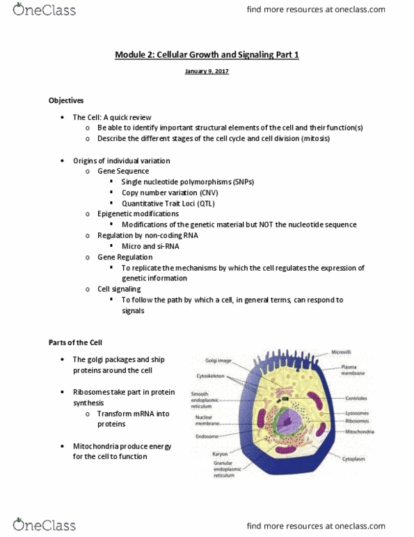 ANS 3043 Lecture Notes - Lecture 3: Chromosome, Press Kit, Cytokinesis thumbnail