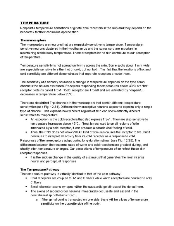 PS271 Lecture Notes - Group C Nerve Fiber, Substantia Gelatinosa Of Rolando, Neocortex thumbnail