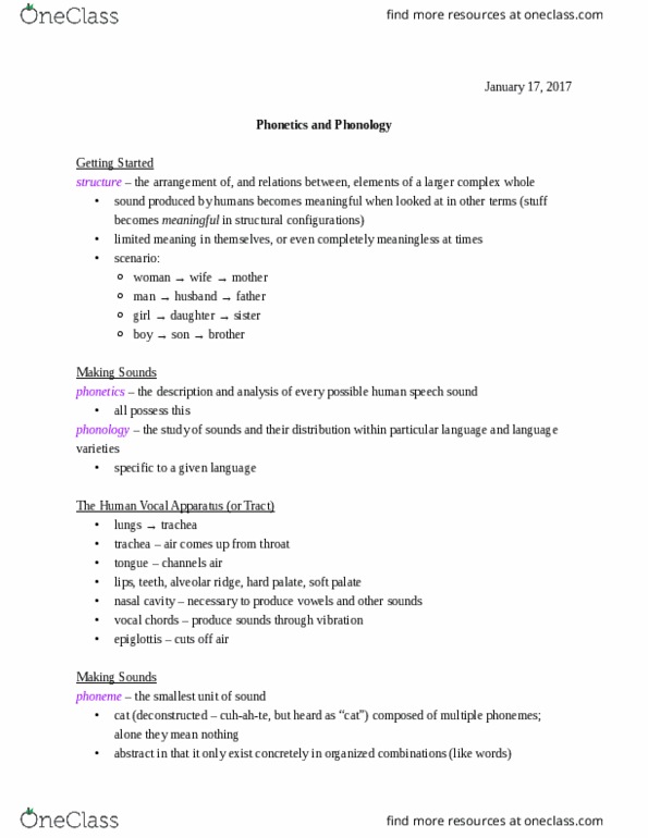 ANTHRO 2D Lecture Notes - Lecture 3: Creaky Voice, Vocal Fry Register, Soft Palate thumbnail