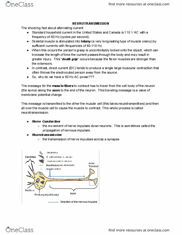 HTHSCI 1H06 Lecture Notes - Lecture 4: Monoamine Oxidase, Choline, Myelin thumbnail