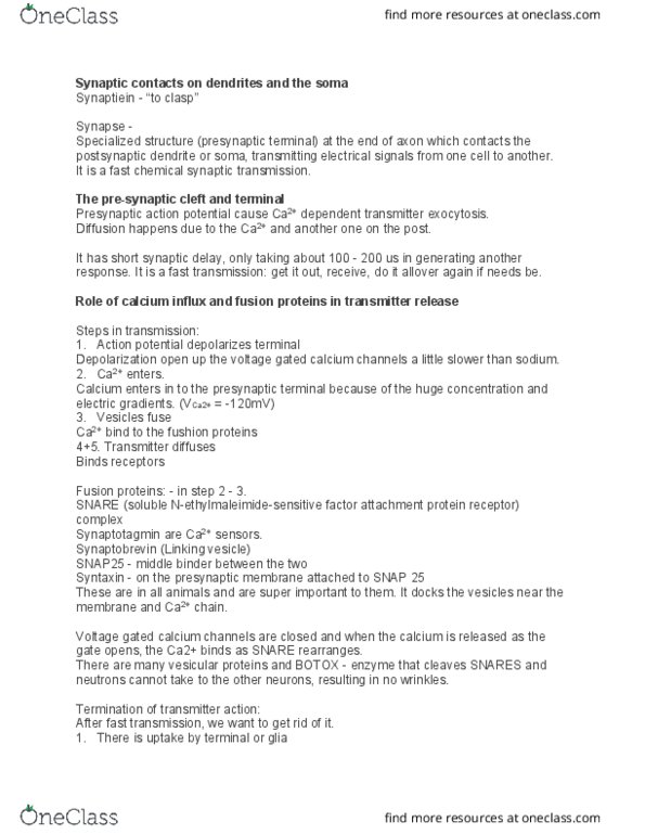 PHGY 214 Lecture Notes - Lecture 5: Inotrope, Acetylcholine, Chemical Synapse thumbnail