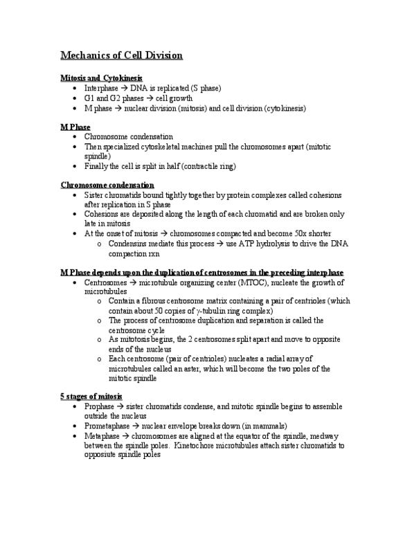 BIOL 1111 Lecture Notes - Cell Cortex, Centrosome, Separase thumbnail