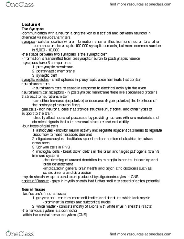 PSYCH 212 Lecture Notes - Lecture 4: Motor Coordination, Sagittal Plane, Basal Ganglia thumbnail