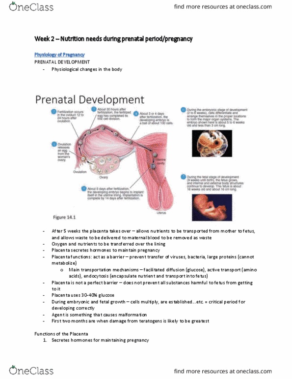 HLTH 331 Lecture Notes - Lecture 2: Heme, Stillbirth, Randomized Controlled Trial thumbnail