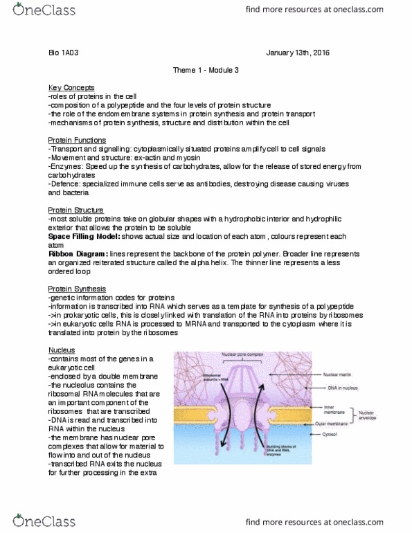 document preview image
