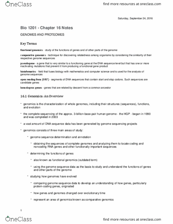 Biology 1201A Chapter Notes - Chapter 16: Intron, Ribosomal Rna, Chromosome thumbnail