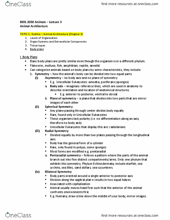 BIOL 2030 Lecture Notes - Lecture 3: Osmoregulation, Body Cavity, Sponge thumbnail