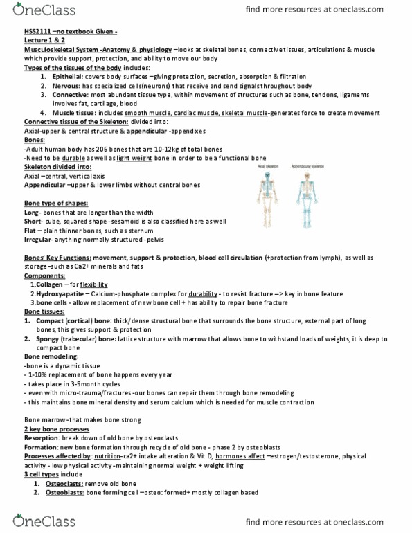HSS 2111 Lecture Notes - Lecture 2: Synovial Fluid, 2Degrees, Pivot Joint thumbnail