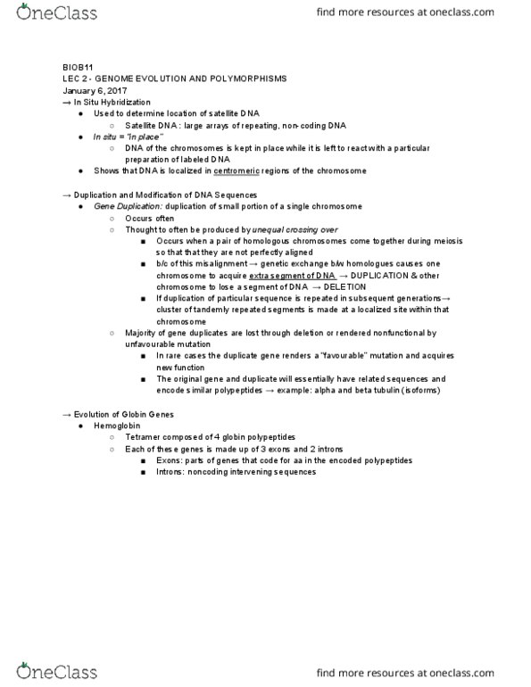 BIOB11H3 Lecture Notes - Lecture 2: Language Disorder, Retrotransposon, Complementary Dna thumbnail