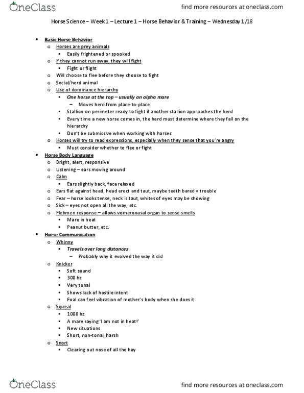 SAAS 251 Lecture Notes - Lecture 1: Coprophagia, Adrenal Gland, Gelding thumbnail