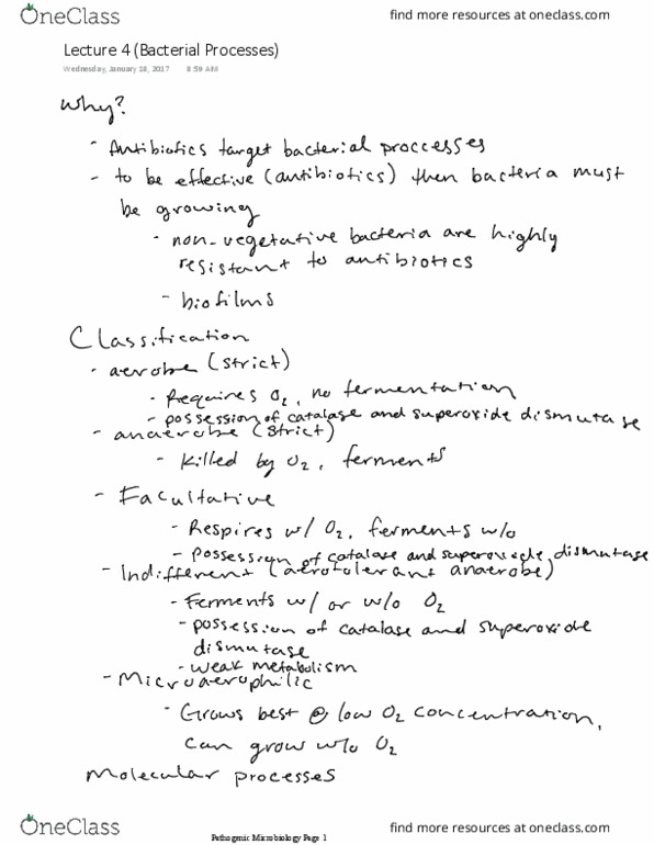 VBMS 441 Lecture 4: Bacterial Processes thumbnail