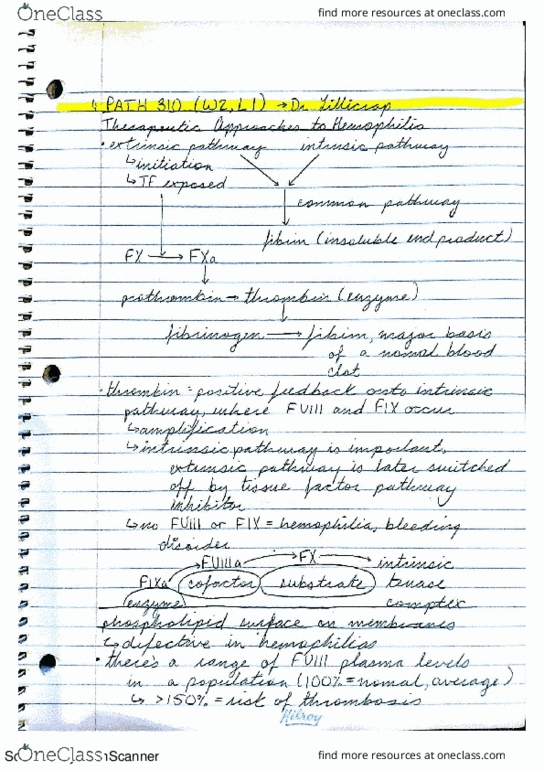 PATH 310 Lecture 4: PATH 310 W2L1 thumbnail