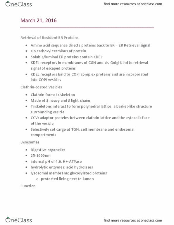 BIOL 1090 Lecture Notes - Lecture 27: C-Terminus, Clathrin, Lipofuscin thumbnail