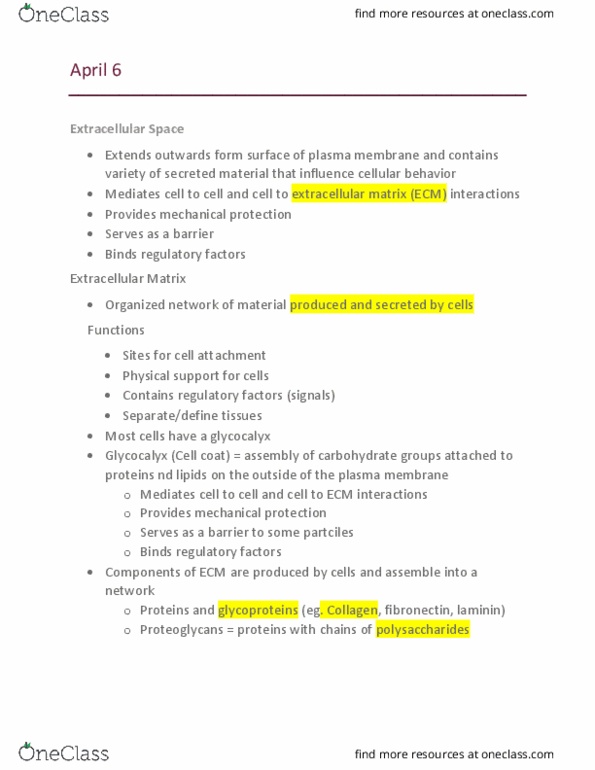 BIOL 1090 Lecture Notes - Lecture 32: Glycocalyx, Cell Membrane, Laminin thumbnail