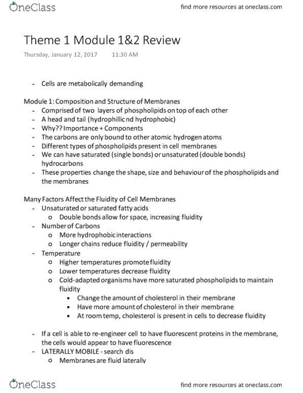 BIOLOGY 1A03 Lecture Notes - Lecture 3: Phospholipid, Glycogen, Endoplasmic Reticulum thumbnail