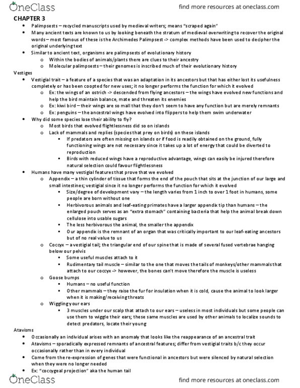 BIO120H1 Lecture Notes - Lecture 3: Archimedes Palimpsest, Kiwi, Goose Bumps thumbnail