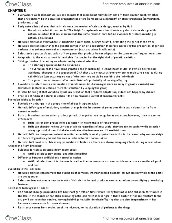 BIO120H1 Lecture Notes - Lecture 5: Genetic Drift, Heritability, Antimicrobial Resistance thumbnail