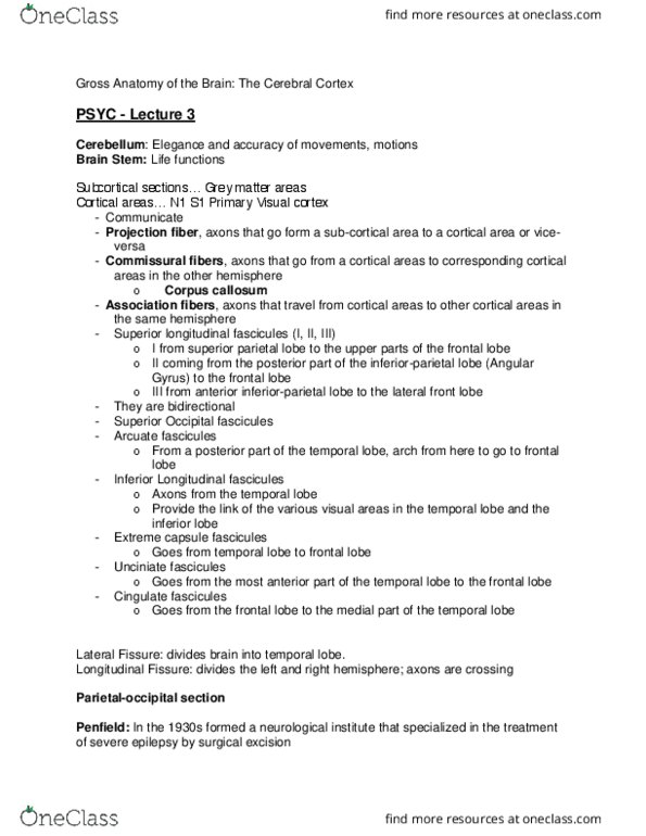 PSYC 311 Lecture Notes - Lecture 3: Parietal Lobe, Frontal Lobe, Temporal Lobe thumbnail