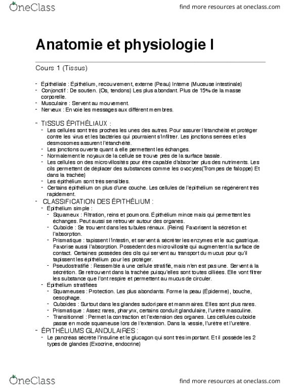 ANP 1505 Lecture Notes - Lecture 2: Desmosome, Dune, White Blood Cell thumbnail