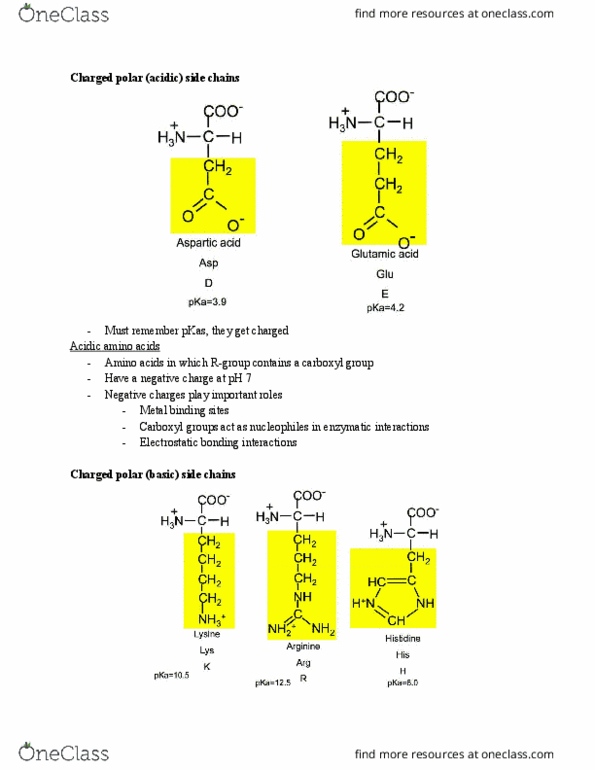 BCH 2333 Lecture Notes - Lecture 4: Guanidine, Acid Dissociation Constant, Amine thumbnail
