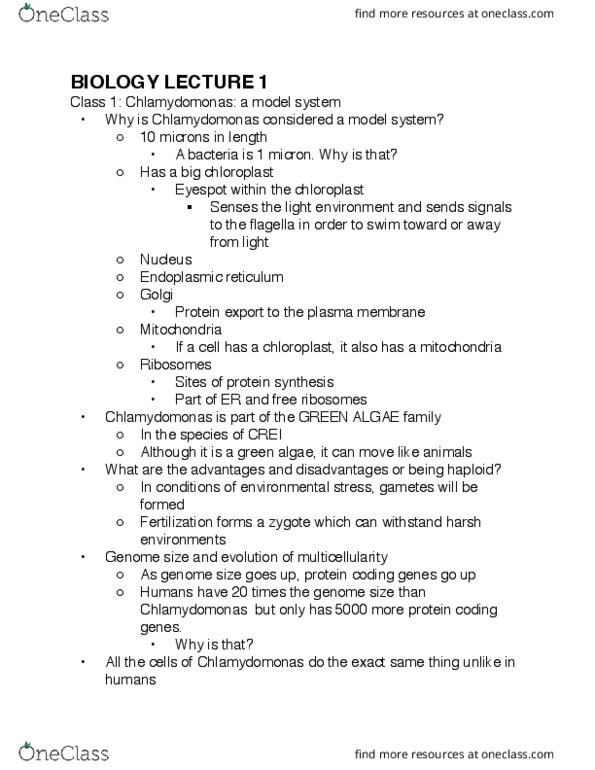 Biology 1002B Lecture Notes - Lecture 1: Chlamydomonas, Genome Size, Simple Eye In Invertebrates thumbnail