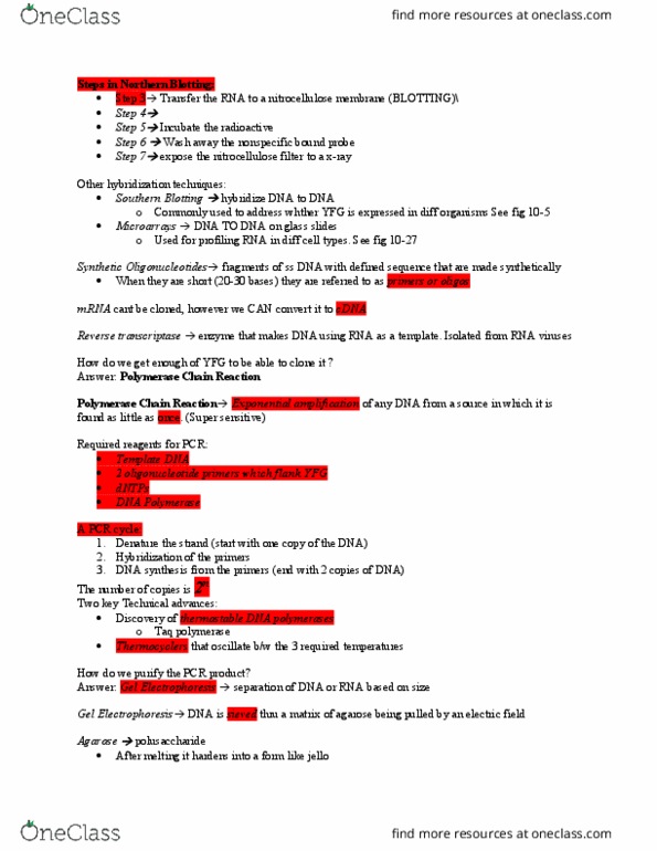 Biochemistry 2288A Lecture Notes - Lecture 19: Ethidium Bromide, Polymerase Chain Reaction, Southern Blot thumbnail