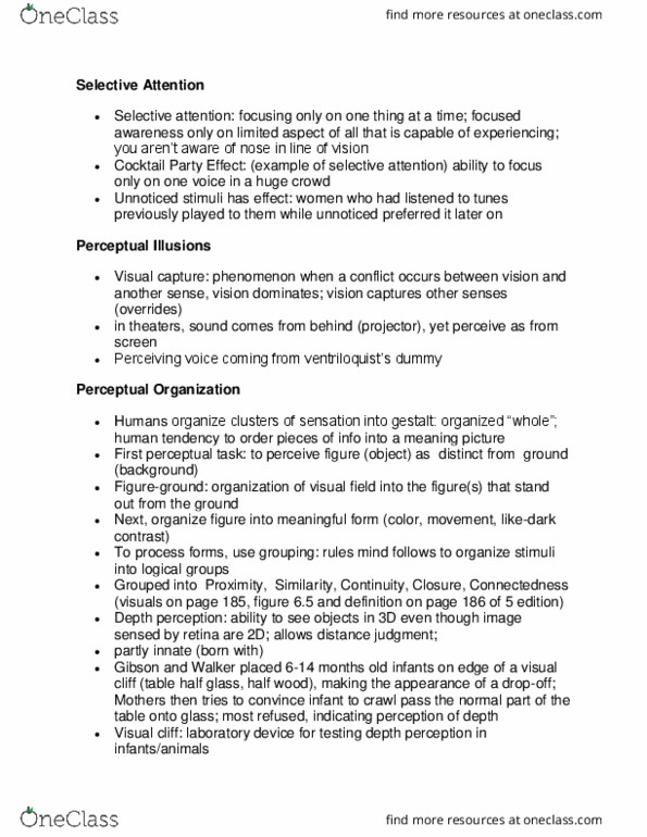 PSYCH 240 Lecture Notes - Lecture 6: Depth Perception, Retina, Subjective Constancy thumbnail