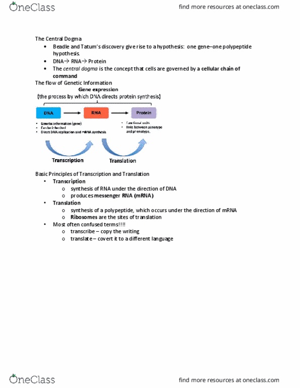 LIFE 120 Lecture Notes - Lecture 14: Rna Splicing, Genetic Code, Alternative Splicing thumbnail